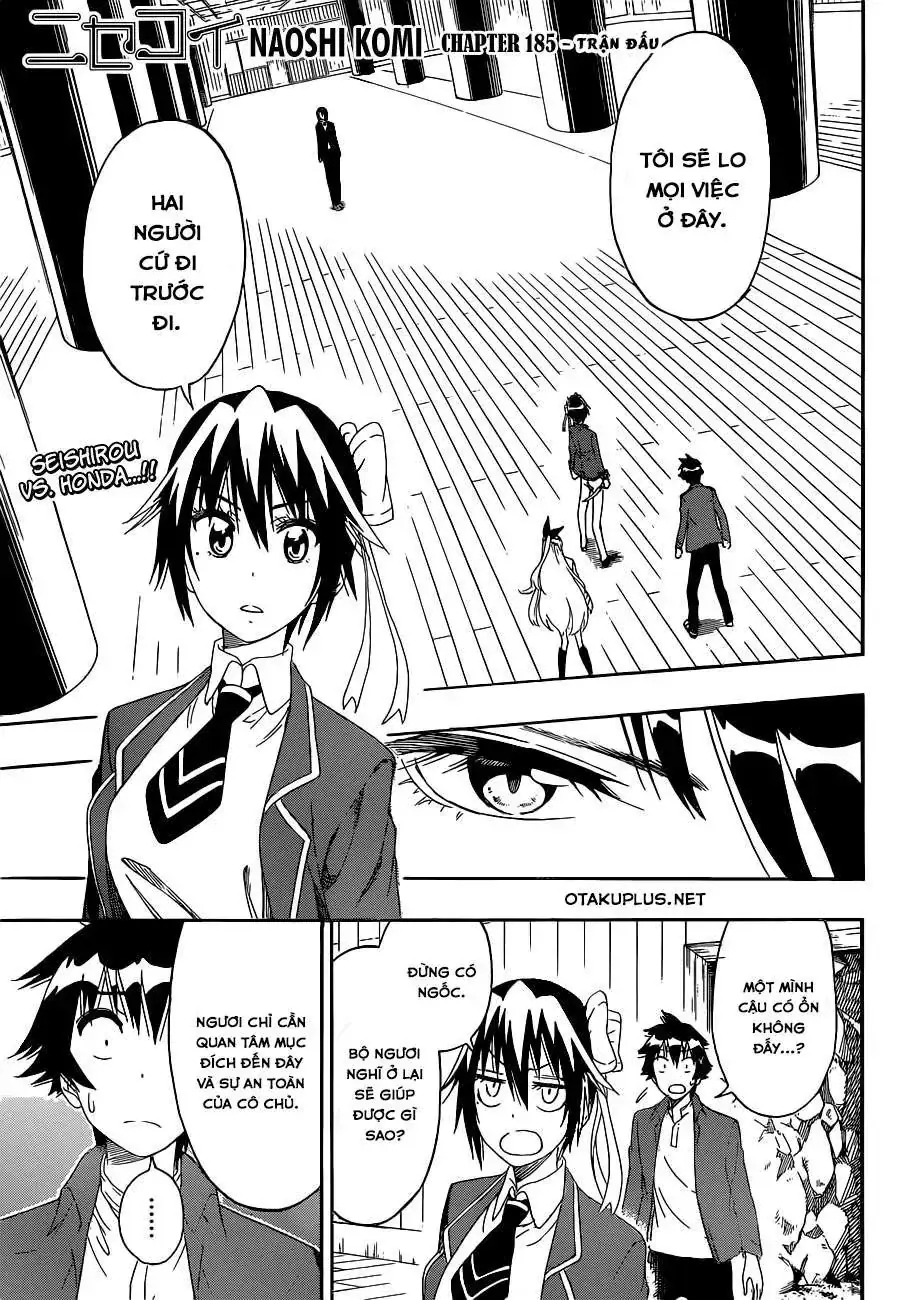 Nisekoi Chapter 185 - Trang 5