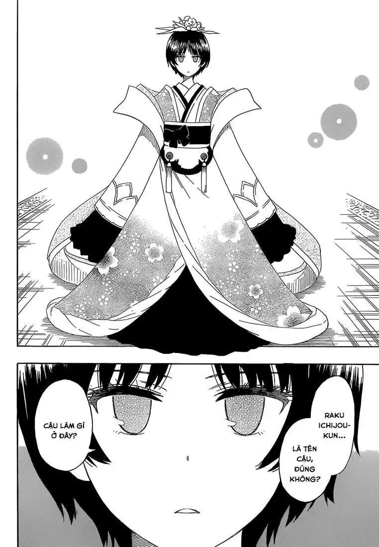 Nisekoi Chapter 186 - Trang 12