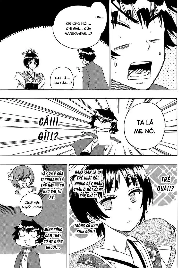 Nisekoi Chapter 186 - Trang 13