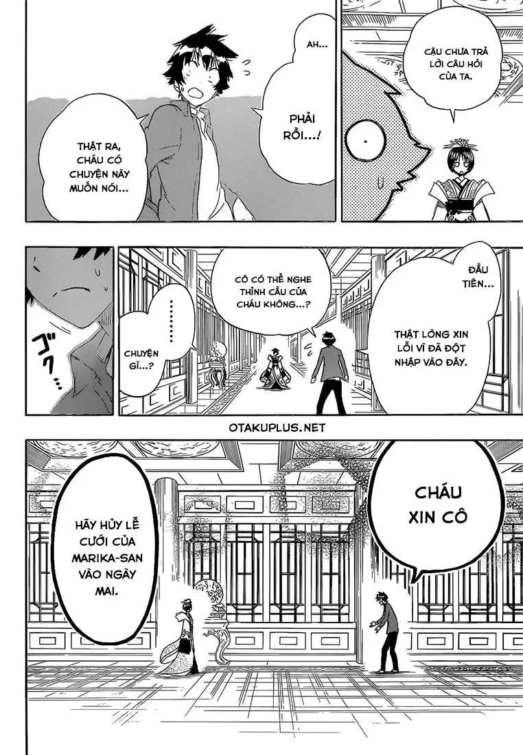 Nisekoi Chapter 186 - Trang 14