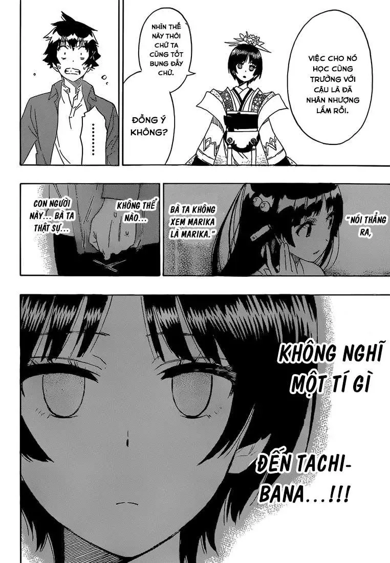 Nisekoi Chapter 186 - Trang 20