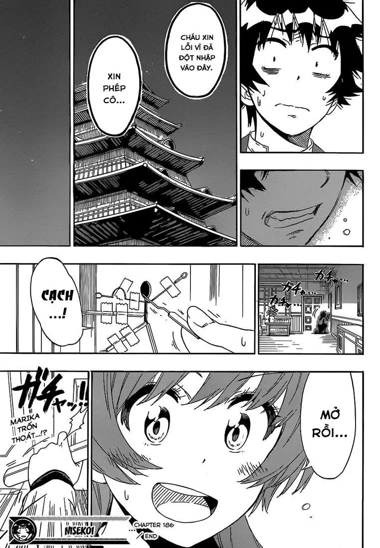 Nisekoi Chapter 186 - Trang 23