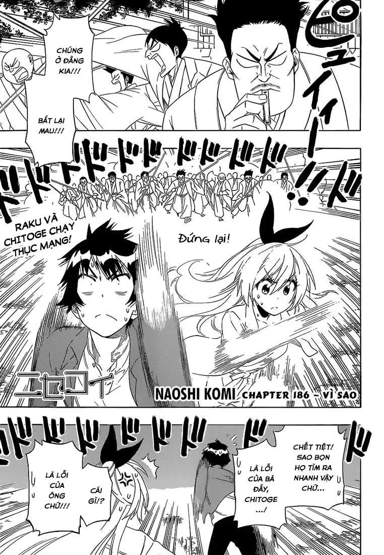 Nisekoi Chapter 186 - Trang 5