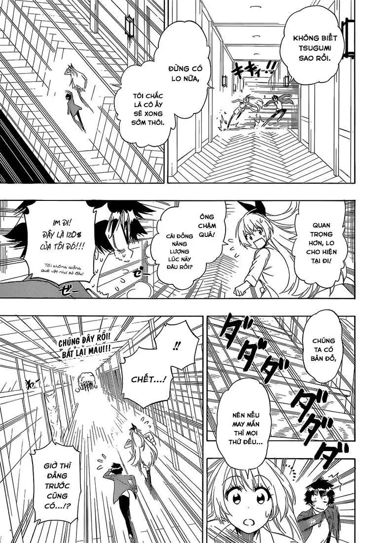 Nisekoi Chapter 186 - Trang 7