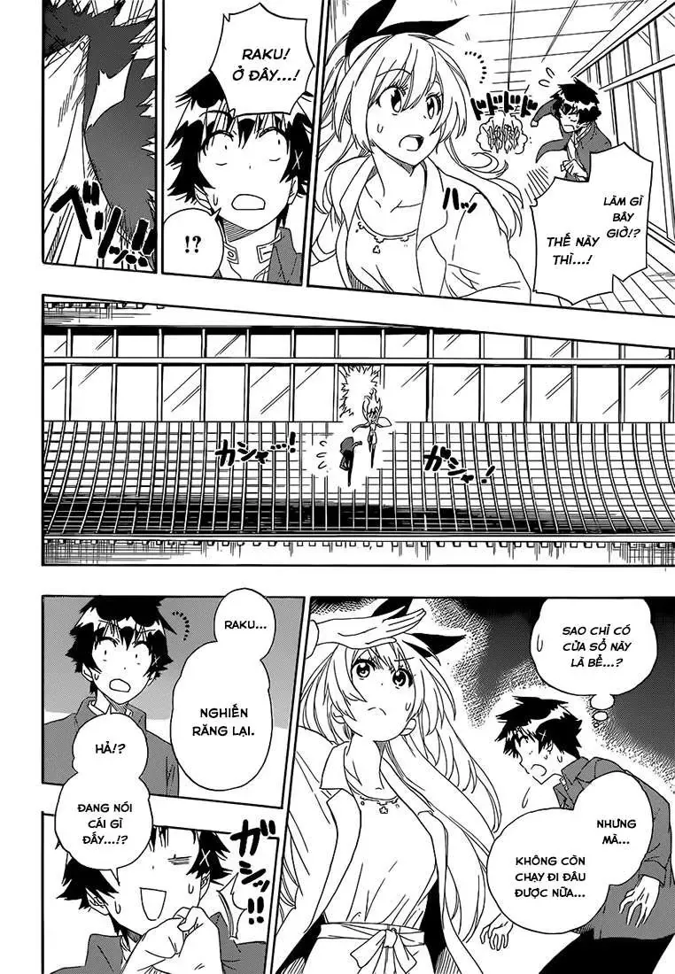 Nisekoi Chapter 186 - Trang 8
