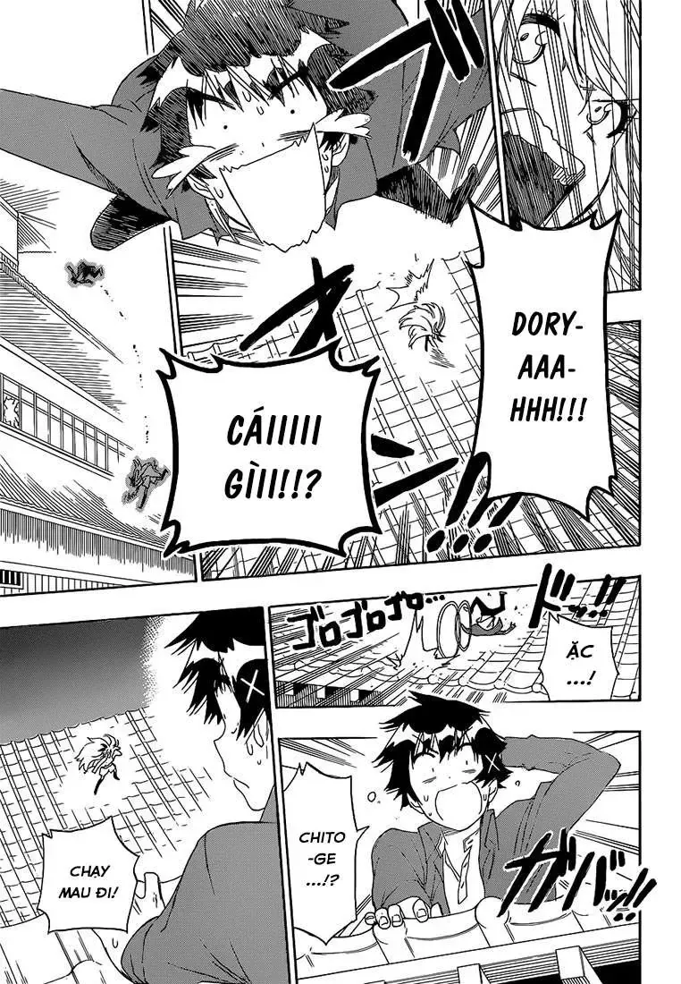 Nisekoi Chapter 186 - Trang 9