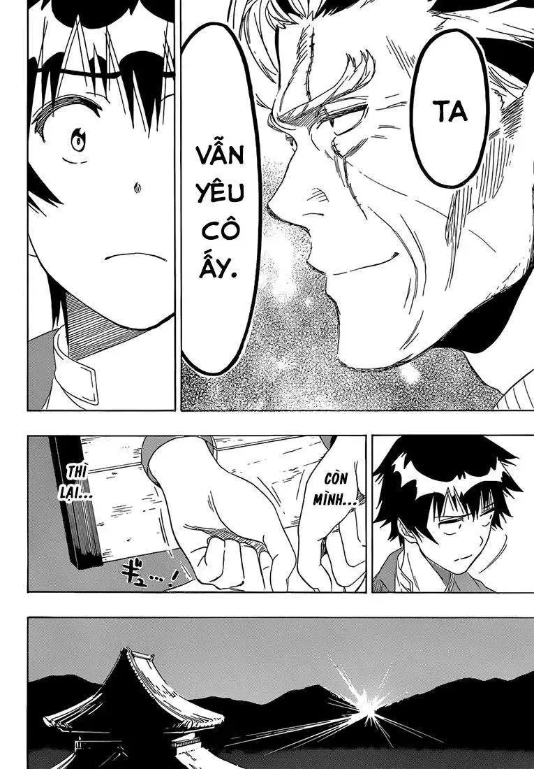 Nisekoi Chapter 187 - Trang 14