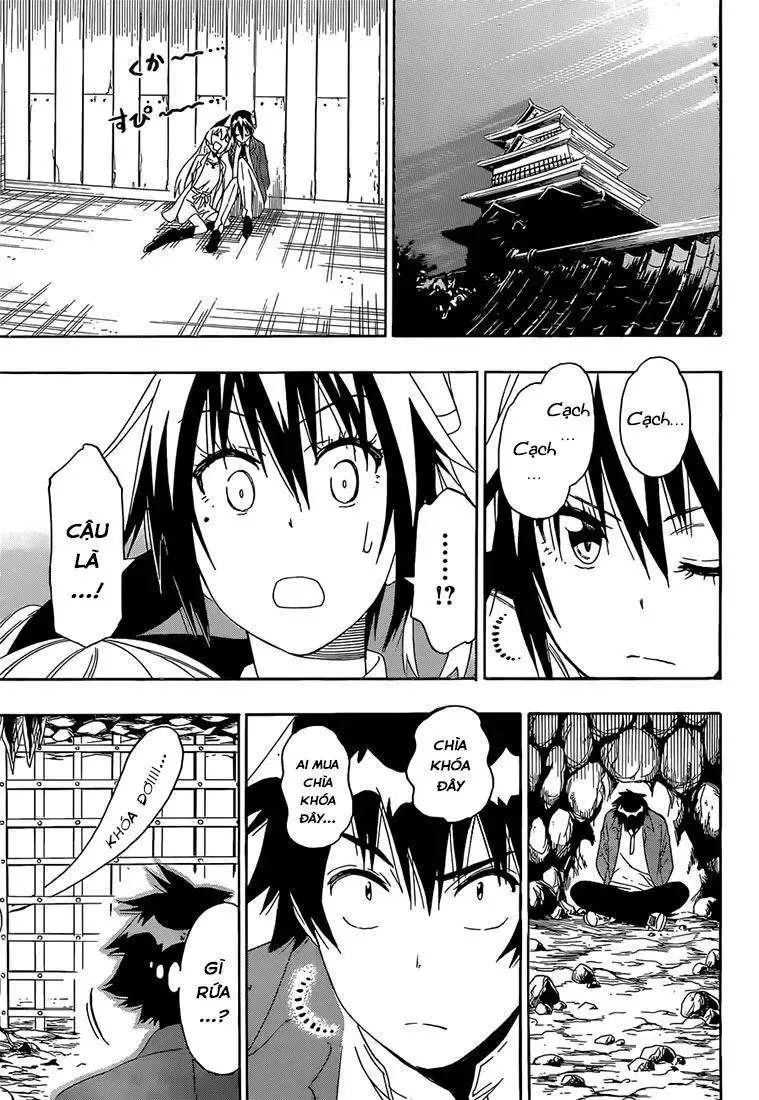 Nisekoi Chapter 187 - Trang 15