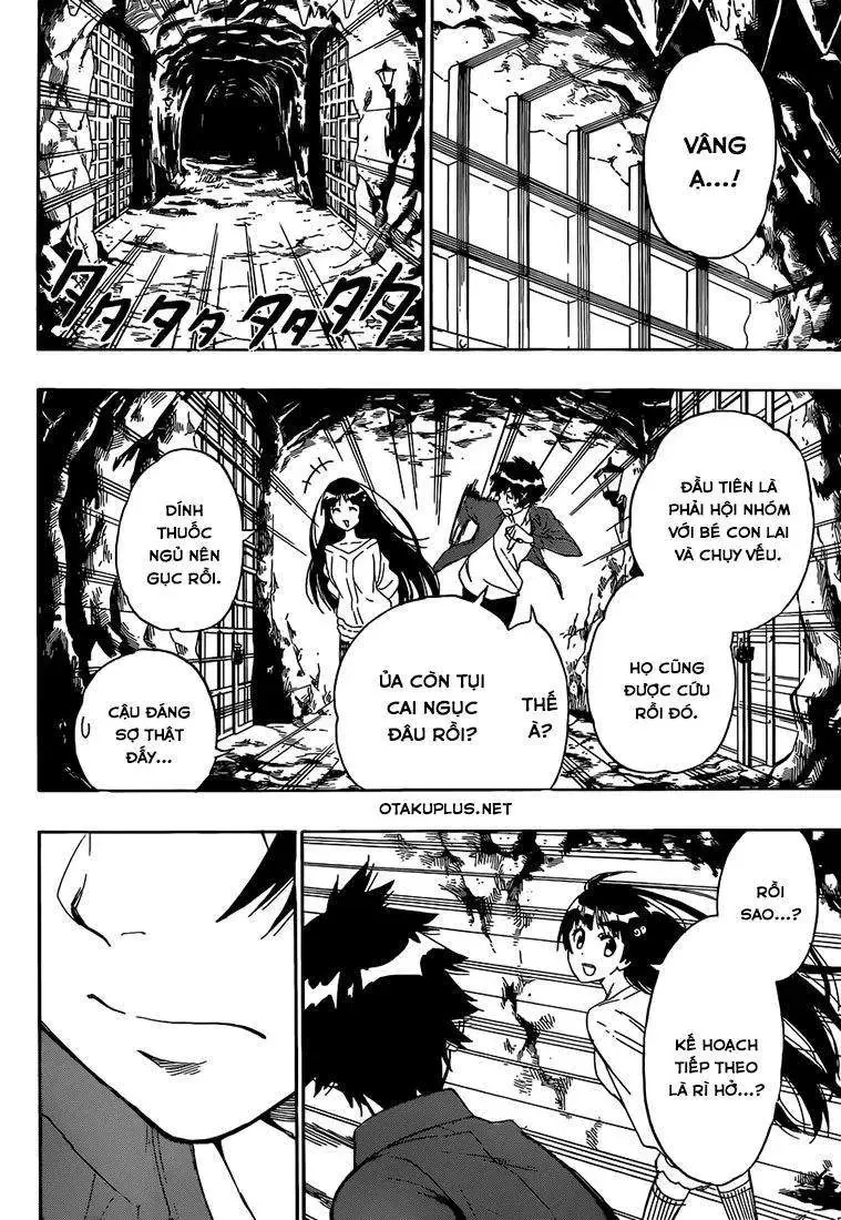 Nisekoi Chapter 187 - Trang 20