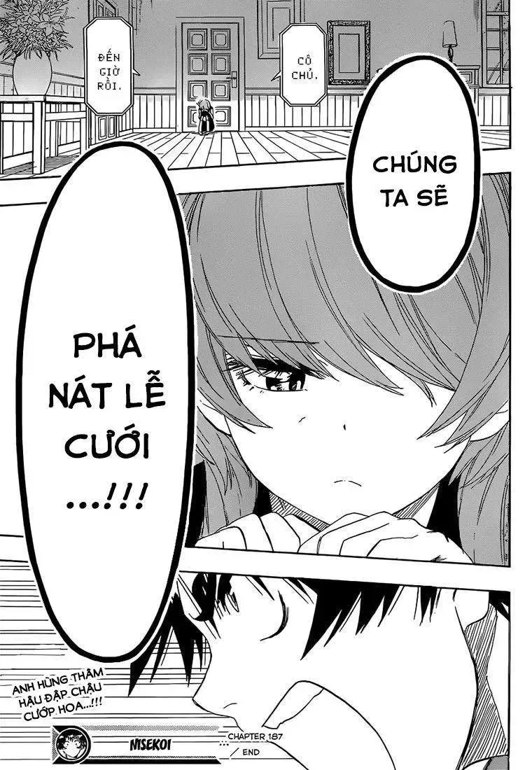 Nisekoi Chapter 187 - Trang 21