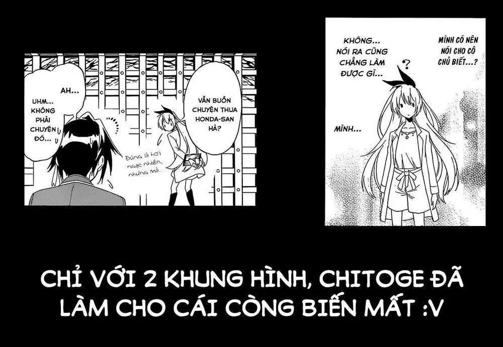 Nisekoi Chapter 187 - Trang 23