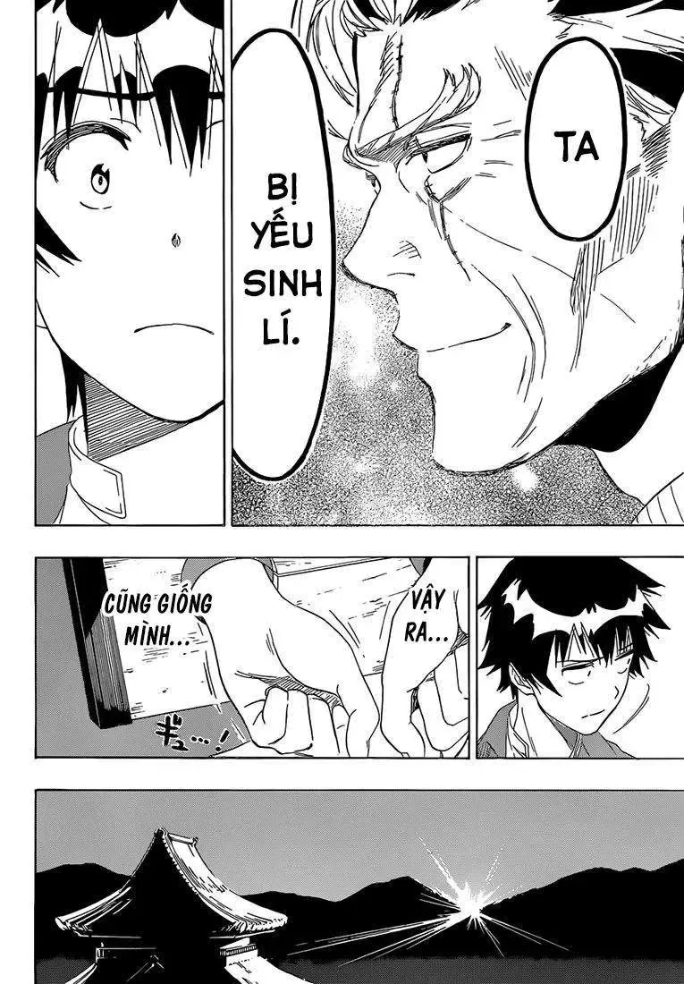 Nisekoi Chapter 187 - Trang 24