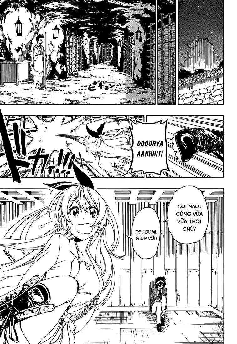 Nisekoi Chapter 187 - Trang 5