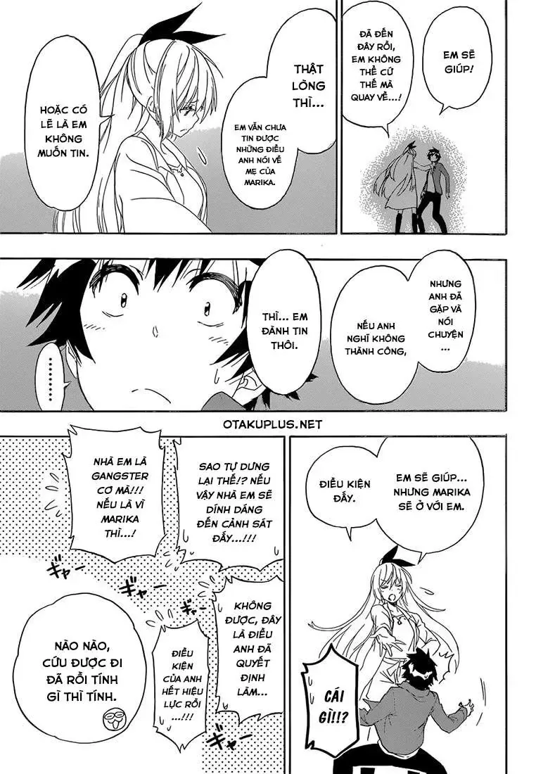 Nisekoi Chapter 188 - Trang 12