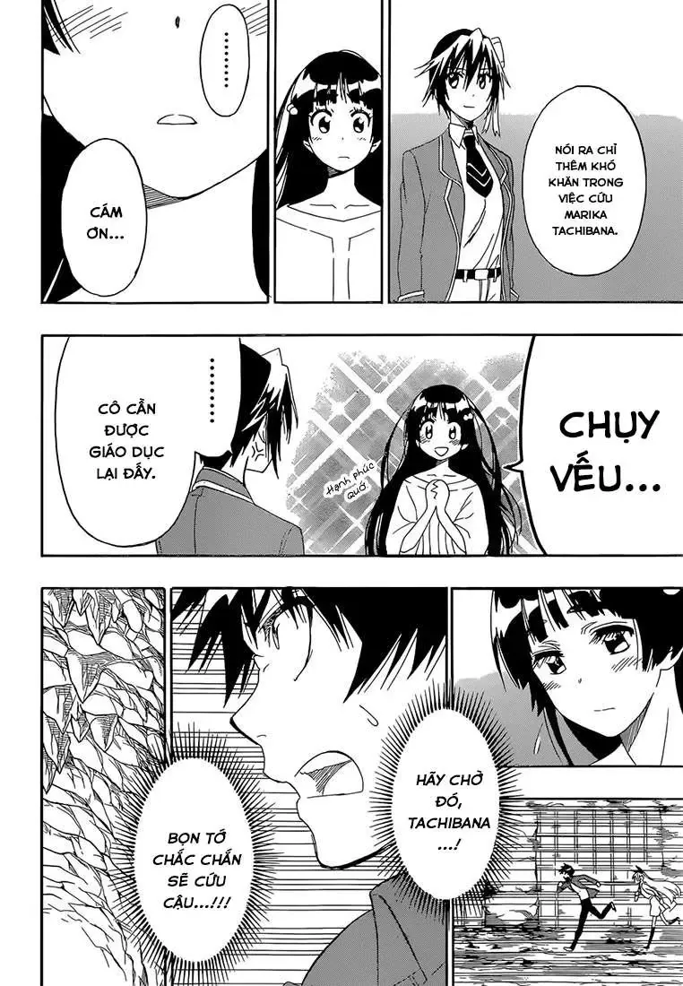 Nisekoi Chapter 188 - Trang 19