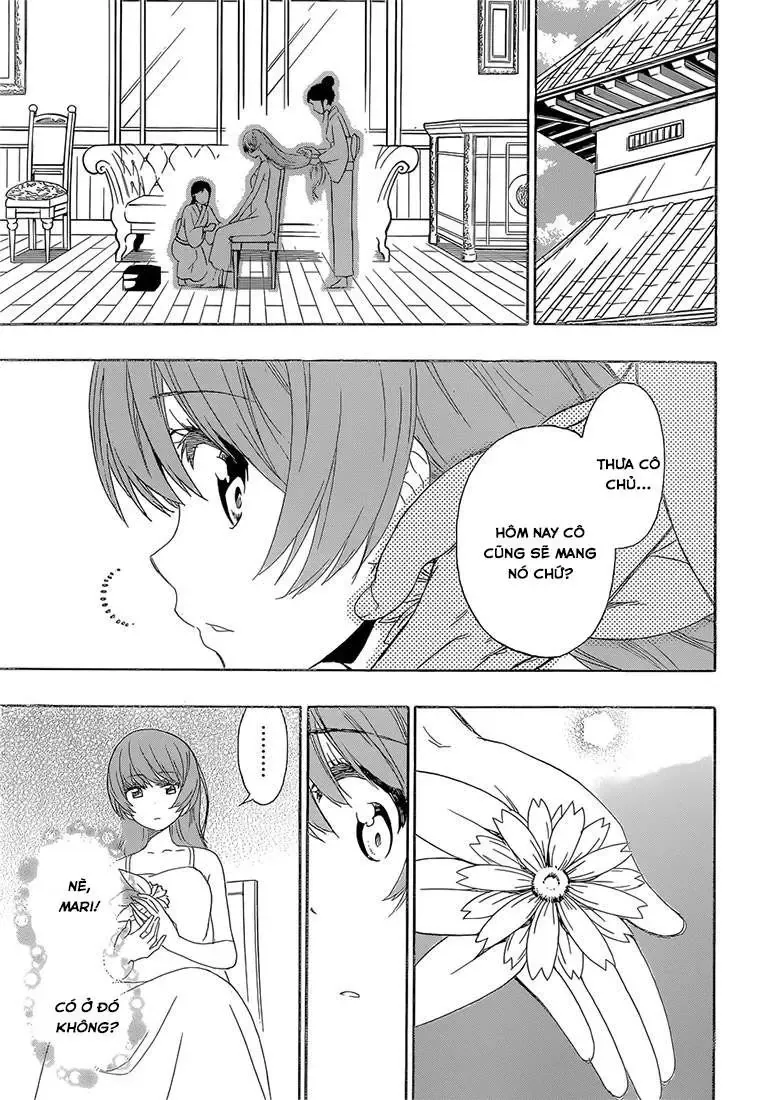 Nisekoi Chapter 188 - Trang 20