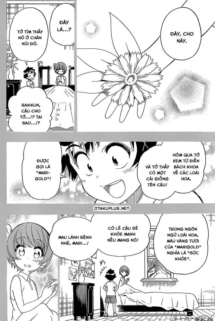 Nisekoi Chapter 188 - Trang 21
