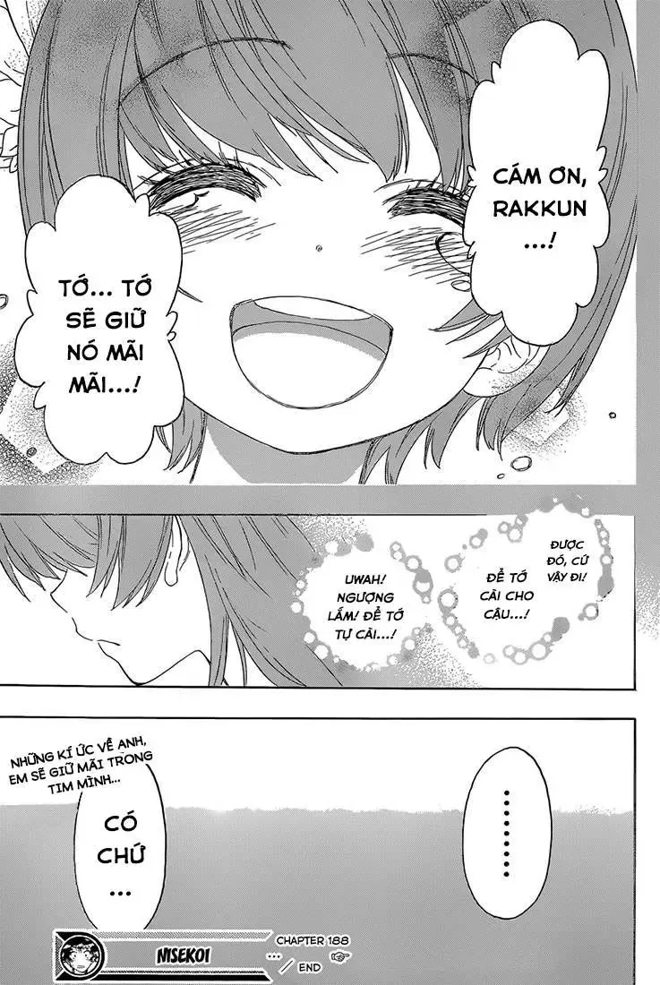 Nisekoi Chapter 188 - Trang 22
