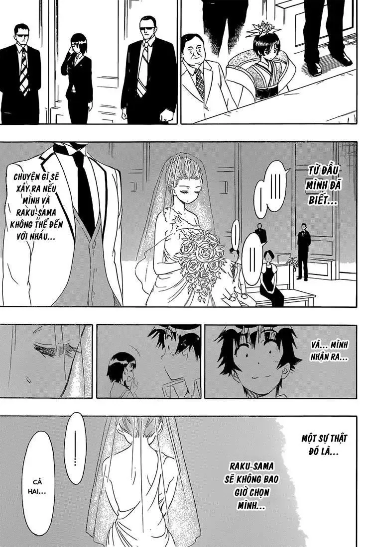 Nisekoi Chapter 189 - Trang 16