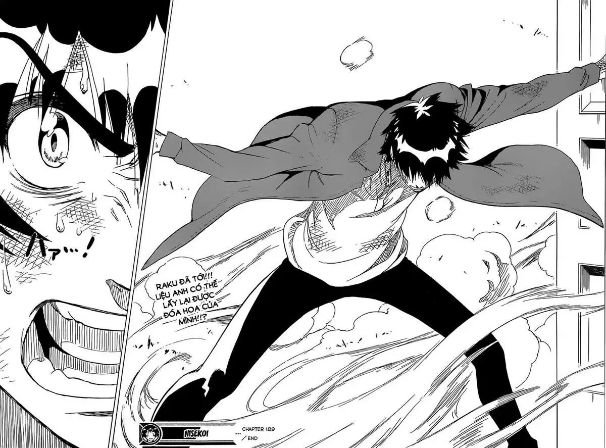 Nisekoi Chapter 189 - Trang 21