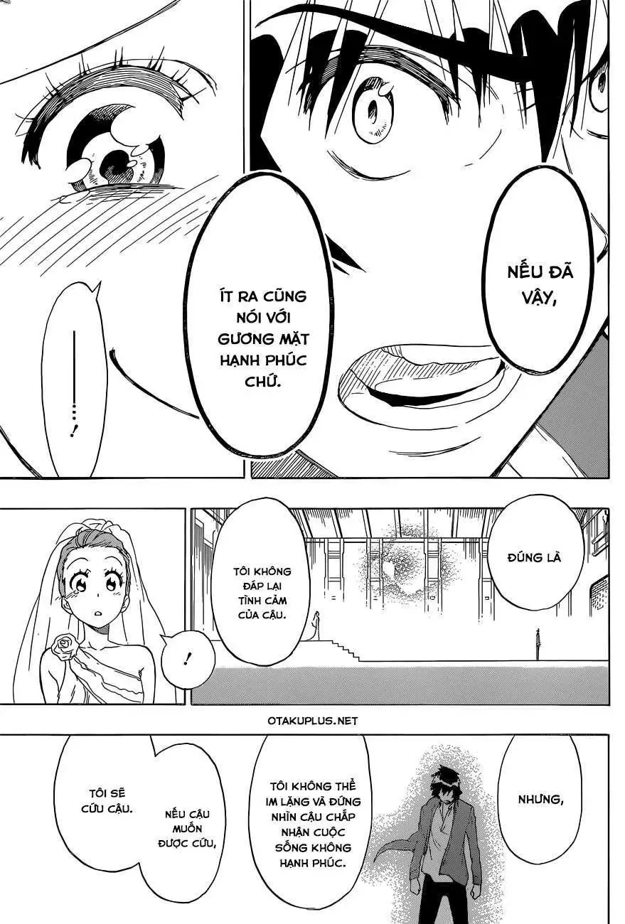 Nisekoi Chapter 190 - Trang 11