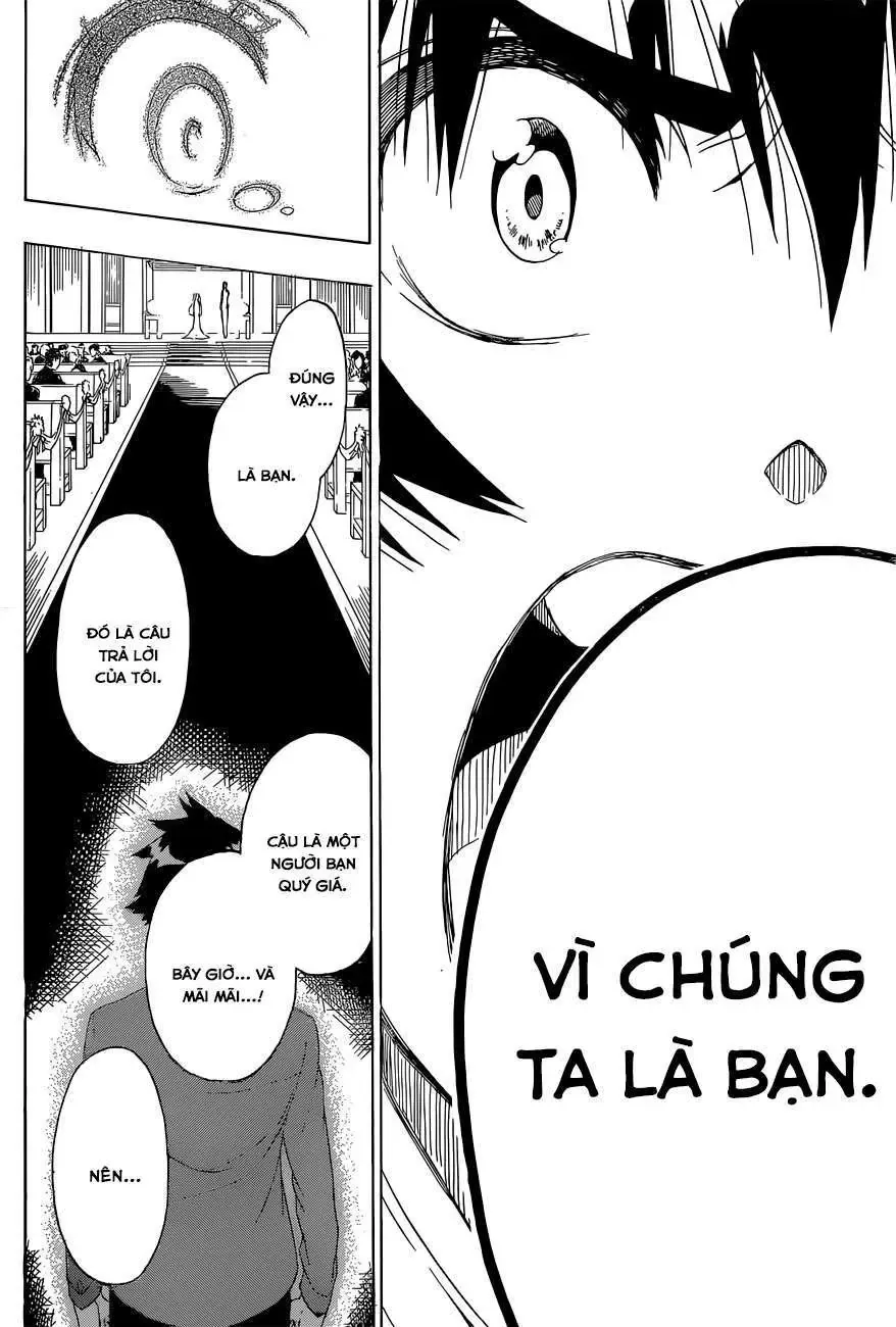 Nisekoi Chapter 190 - Trang 12