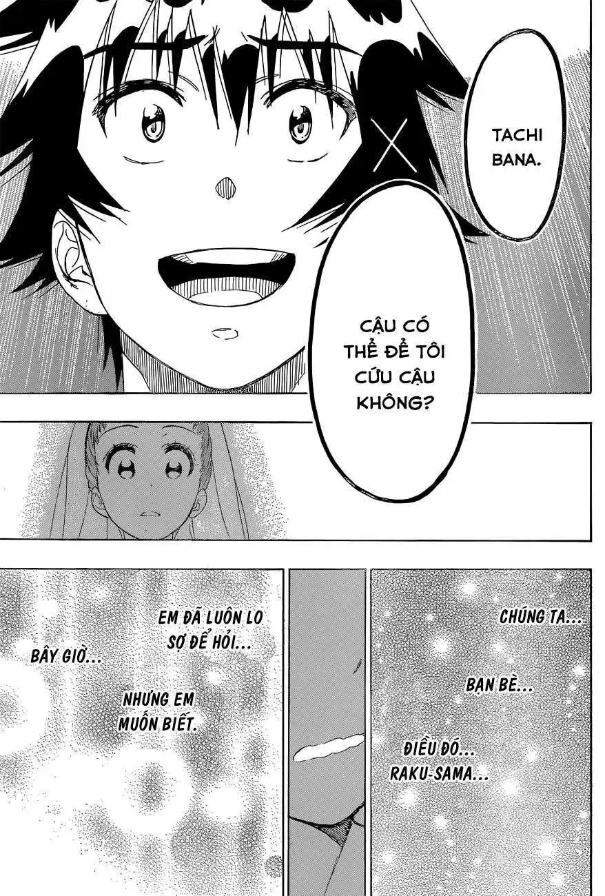 Nisekoi Chapter 190 - Trang 13