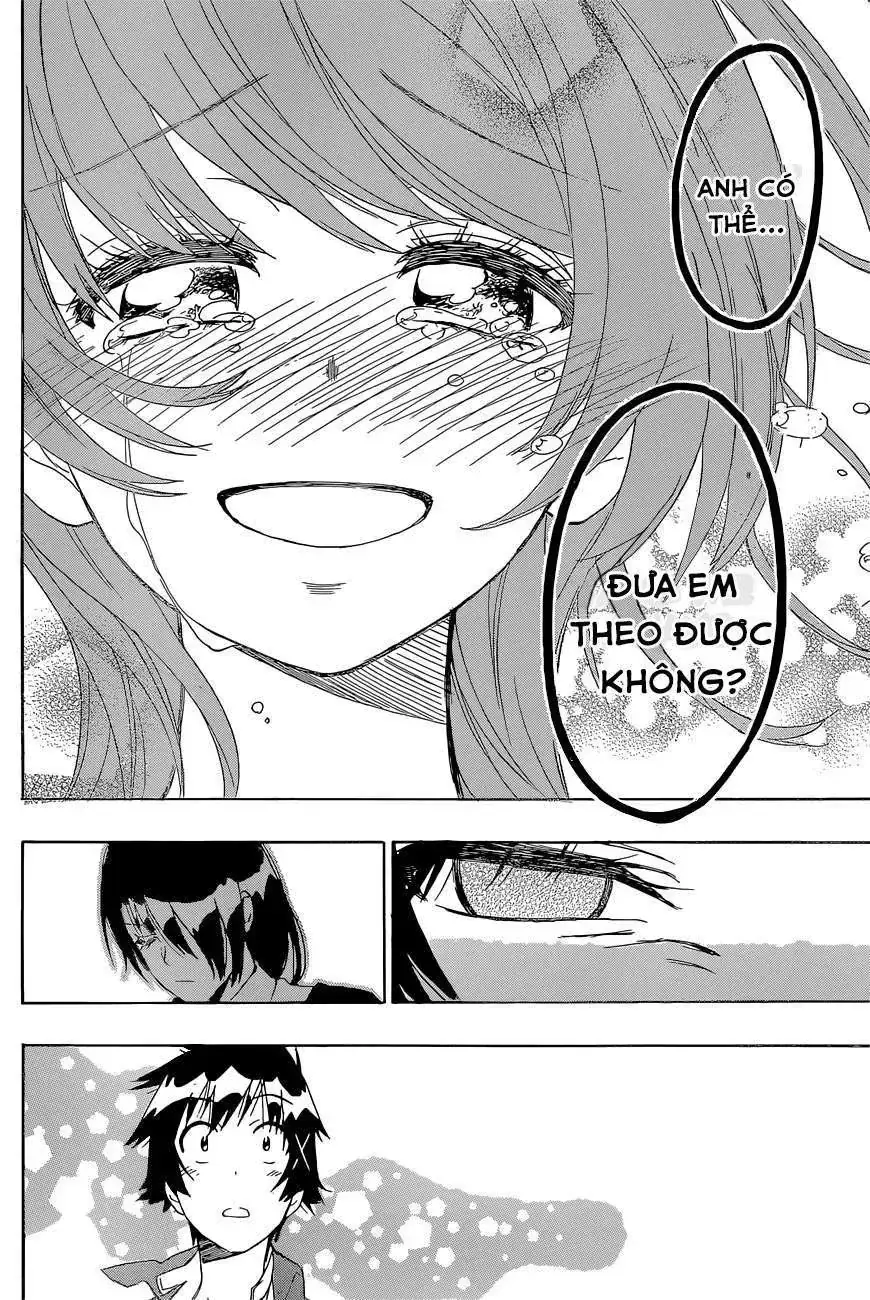 Nisekoi Chapter 190 - Trang 16