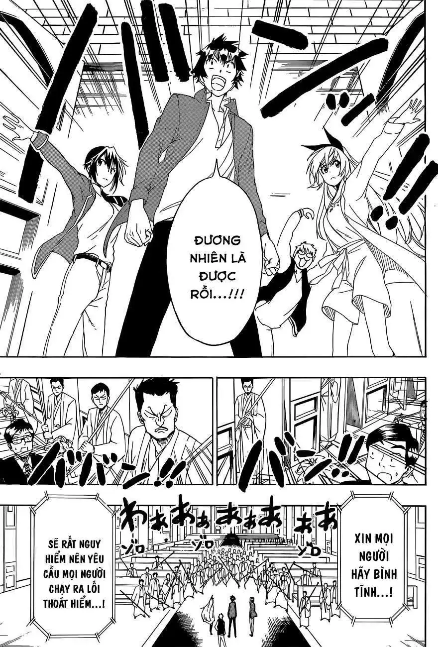 Nisekoi Chapter 190 - Trang 17