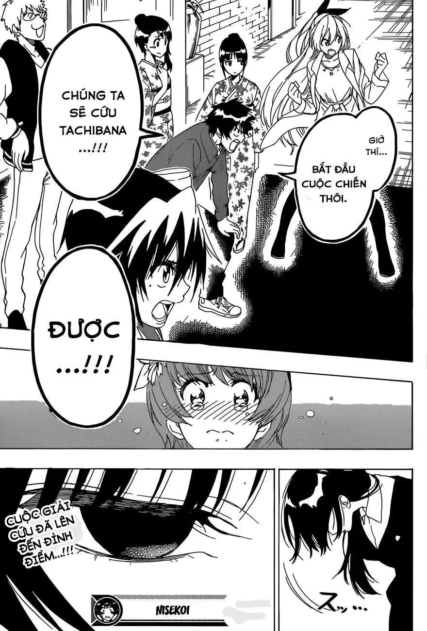 Nisekoi Chapter 190 - Trang 21
