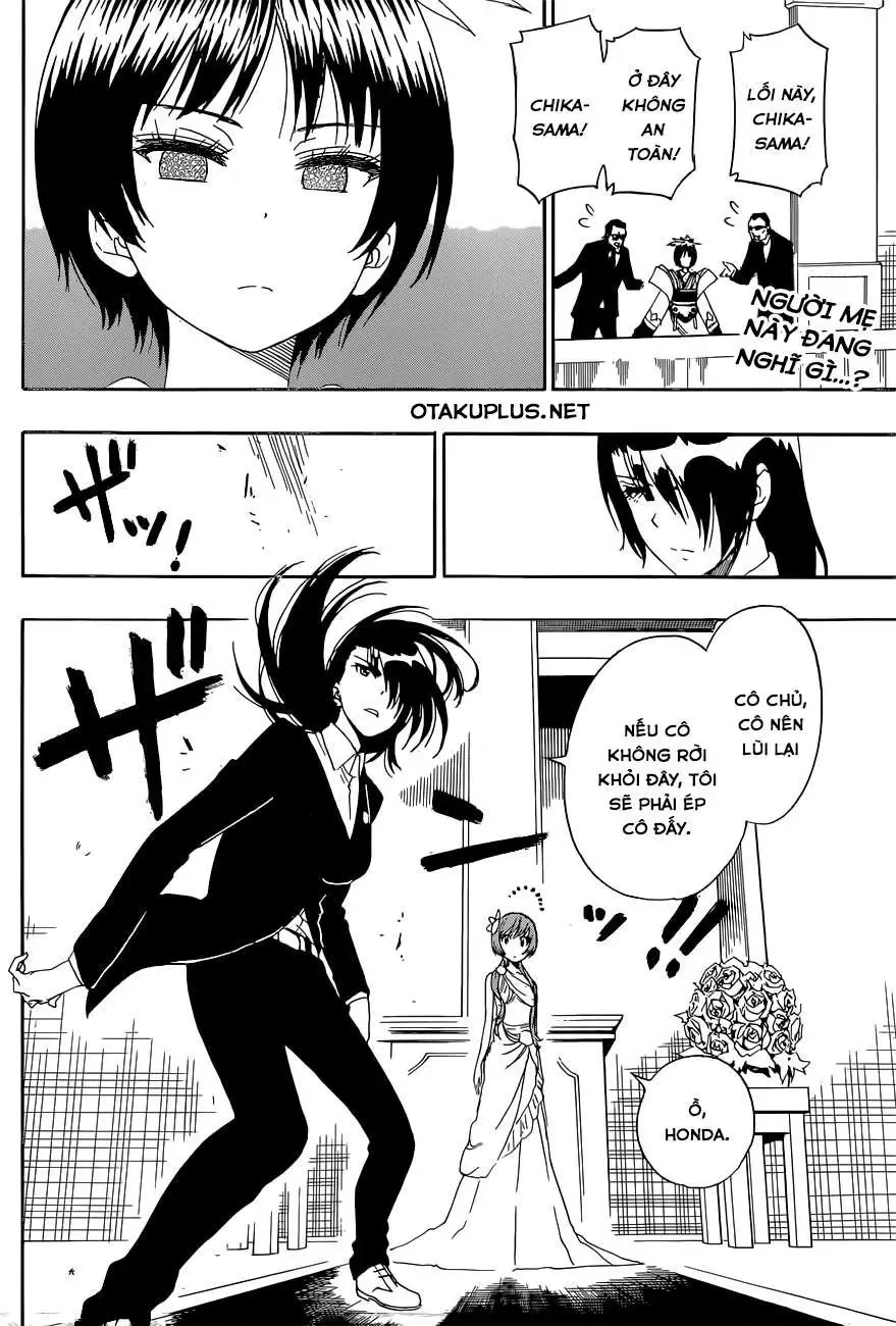 Nisekoi Chapter 191 - Trang 5
