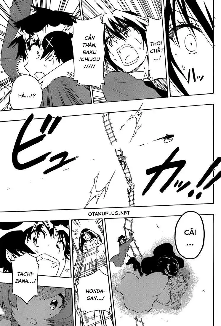 Nisekoi Chapter 192 - Trang 12