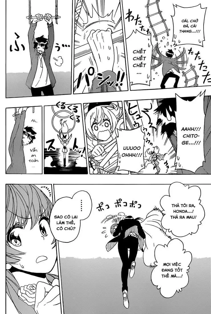 Nisekoi Chapter 192 - Trang 13
