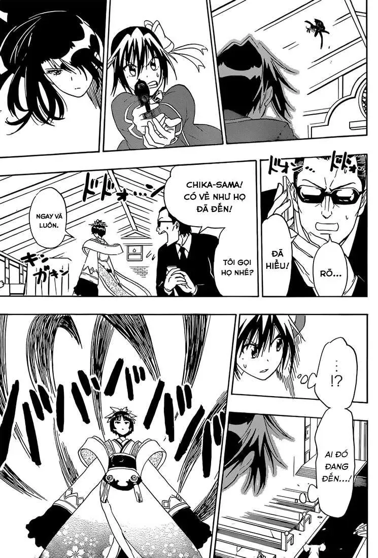 Nisekoi Chapter 192 - Trang 16