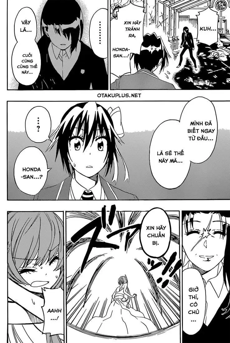 Nisekoi Chapter 192 - Trang 21