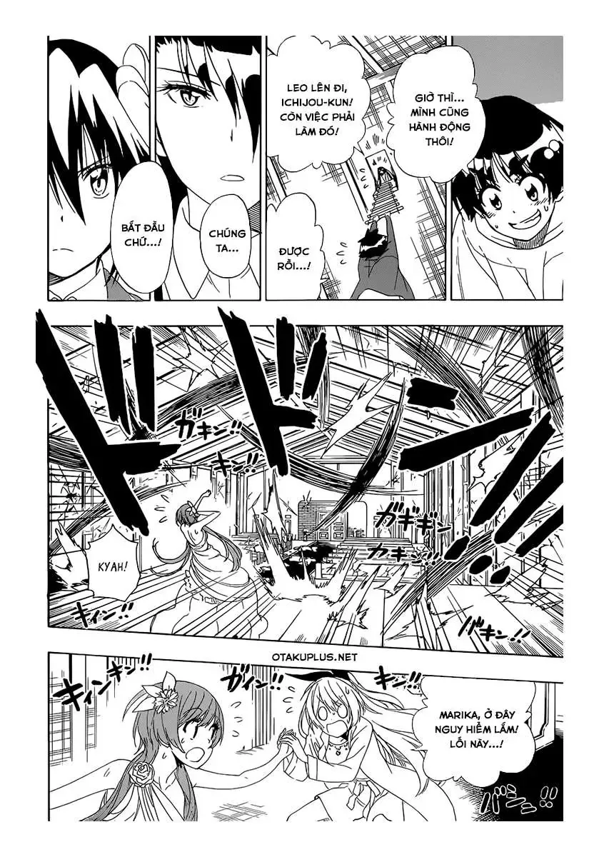 Nisekoi Chapter 193 - Trang 11