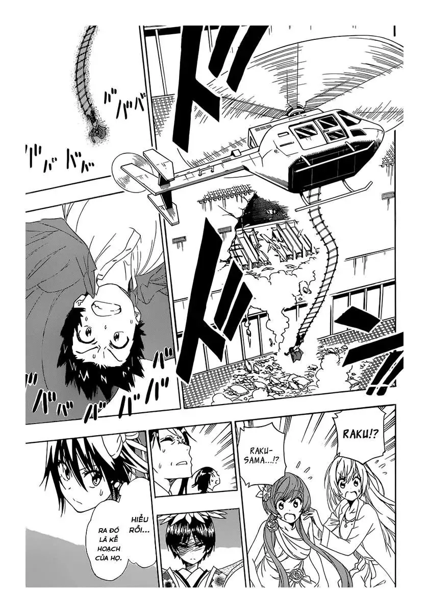 Nisekoi Chapter 193 - Trang 14