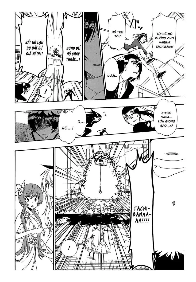 Nisekoi Chapter 193 - Trang 15