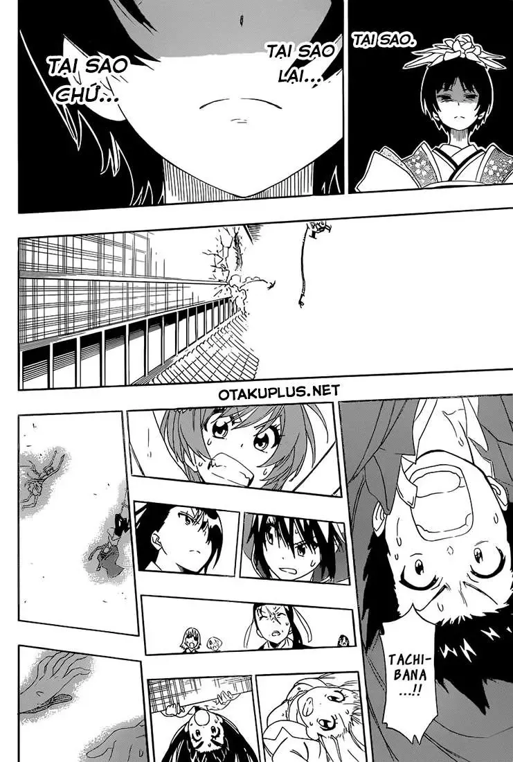Nisekoi Chapter 193 - Trang 21