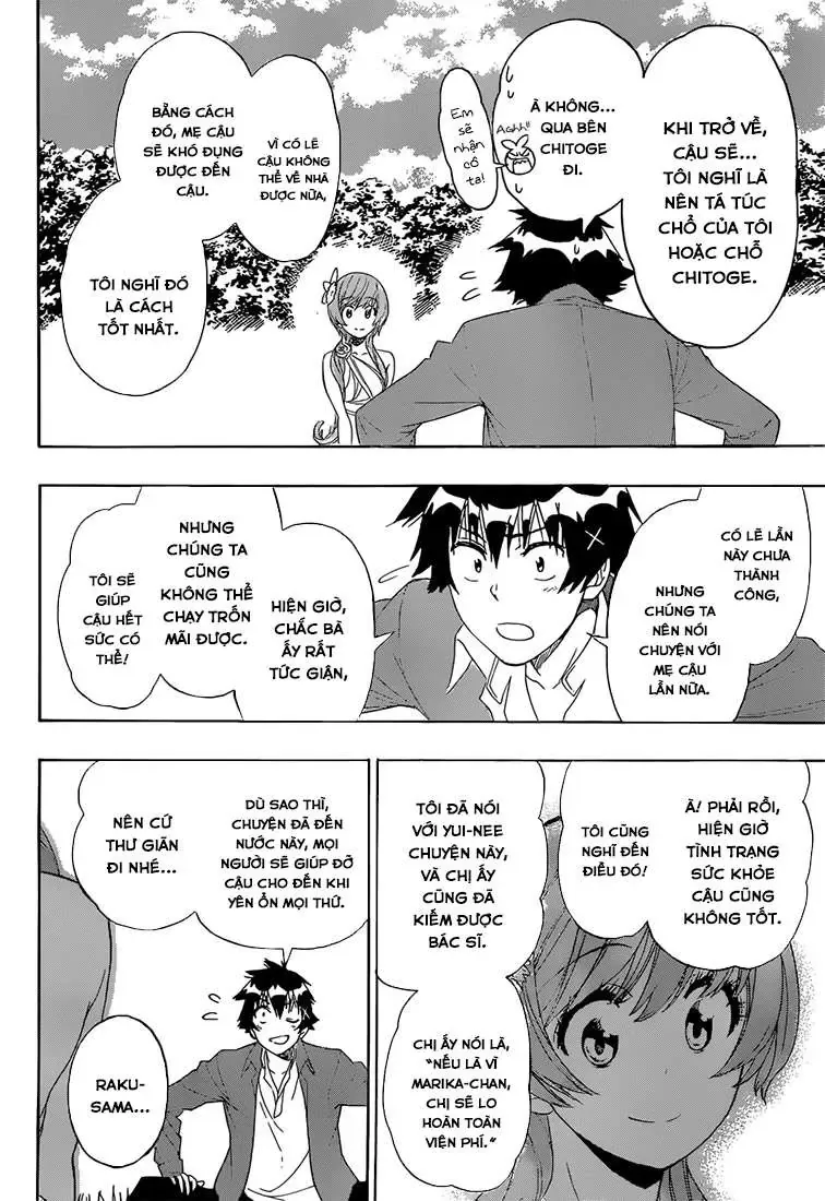Nisekoi Chapter 194 - Trang 11