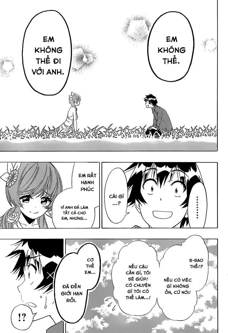 Nisekoi Chapter 194 - Trang 12