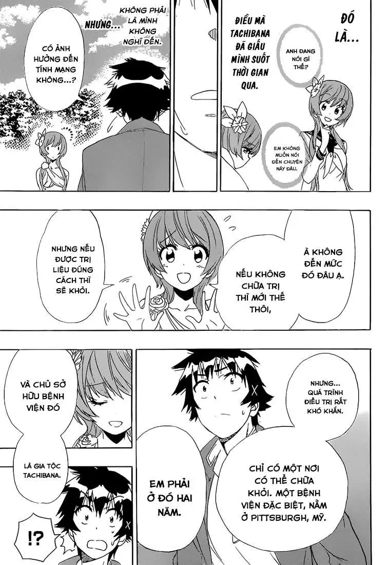 Nisekoi Chapter 194 - Trang 14
