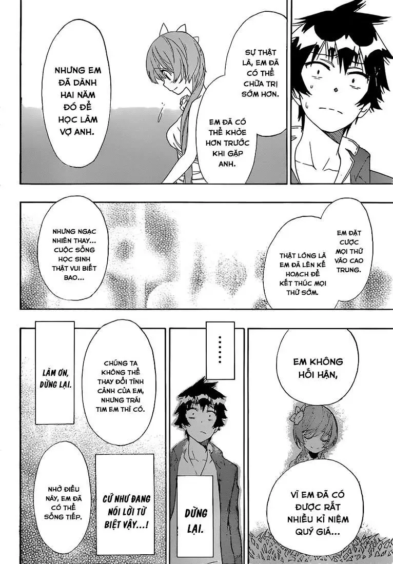 Nisekoi Chapter 194 - Trang 17