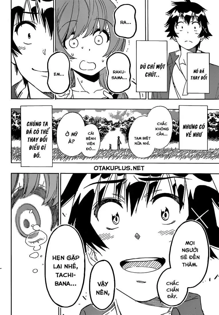 Nisekoi Chapter 194 - Trang 21