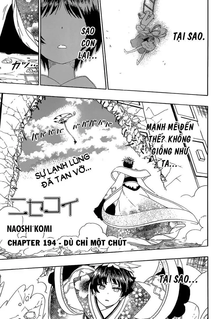 Nisekoi Chapter 194 - Trang 4