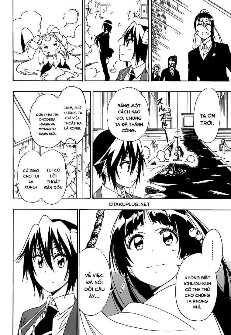 Nisekoi Chapter 194 - Trang 5