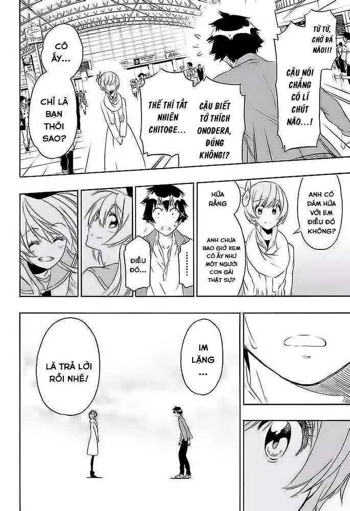 Nisekoi Chapter 195 - Trang 11