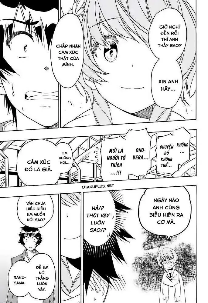 Nisekoi Chapter 195 - Trang 12