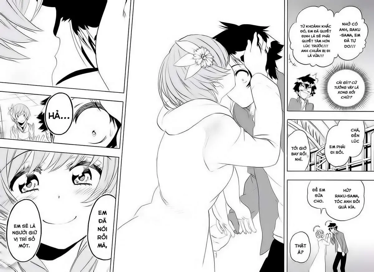 Nisekoi Chapter 195 - Trang 15