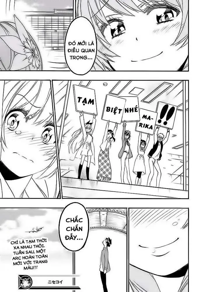 Nisekoi Chapter 195 - Trang 21
